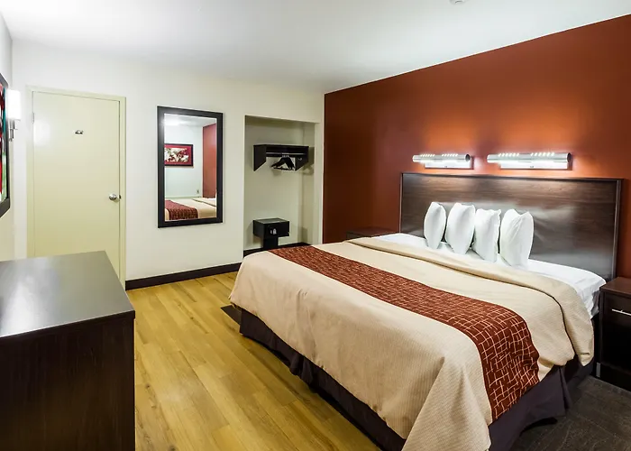 Red Roof Inn Plus+ South Deerfield - Amherst